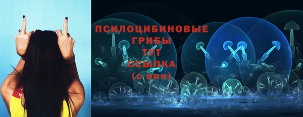 дурь Белоозёрский