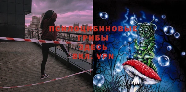 гашишное масло Белокуриха