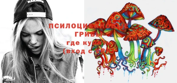 дурь Белоозёрский