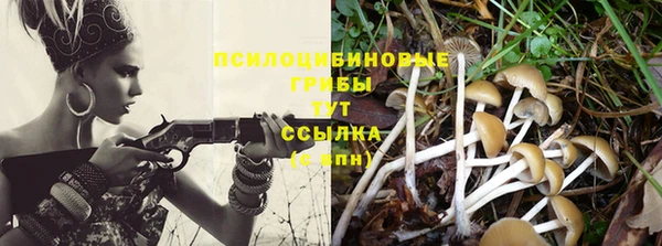 spice Беломорск