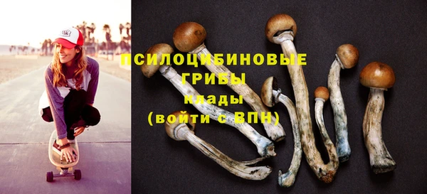 дурь Белоозёрский